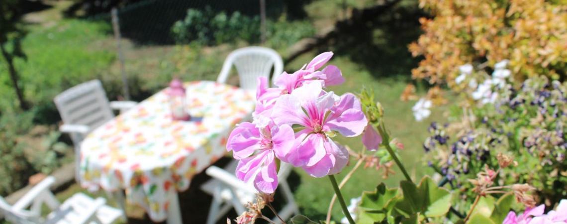 B&B Via Roma Cesate Buitenkant foto